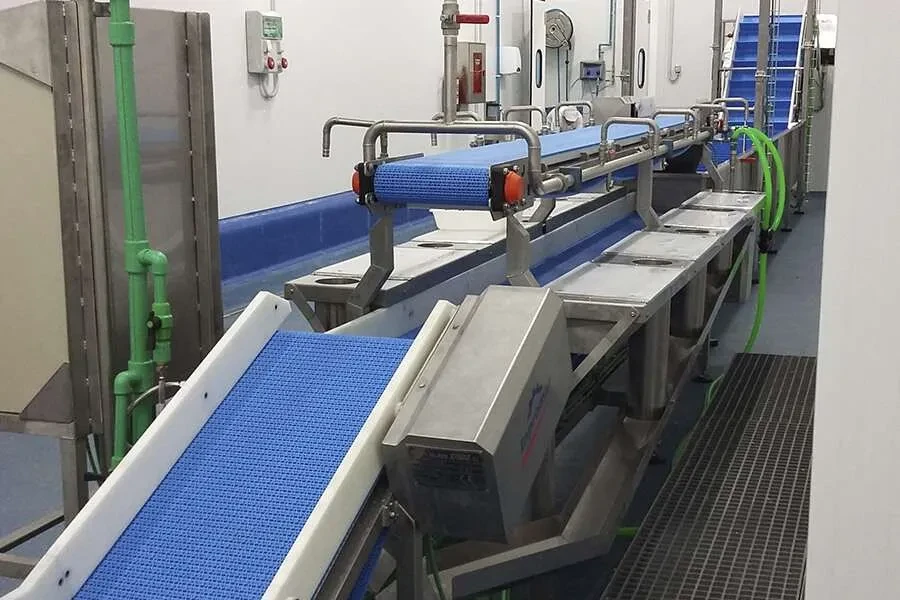 Fish processing conveyor belt line in production facility